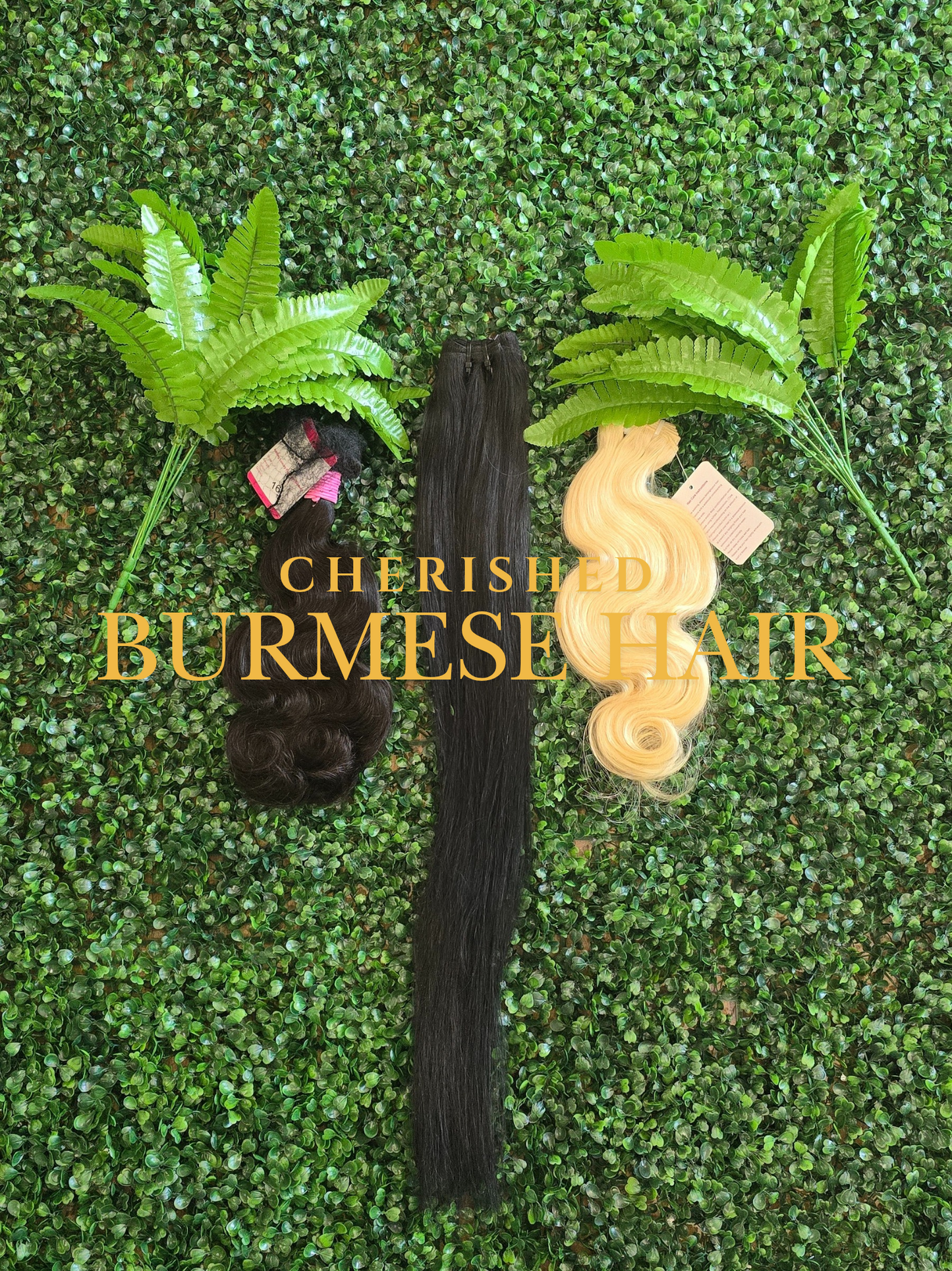 Cherished Burmese Hair
